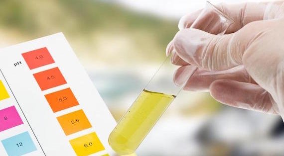 Awesome Video Gallery